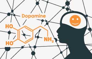 Brain and Dopamine