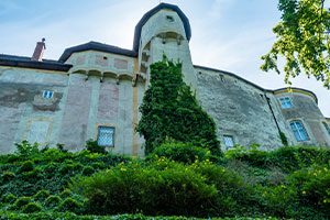 drug treatment facility - Pathfinders Recovery Center CO